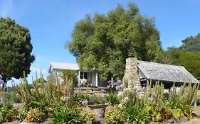 Sassafras Springs